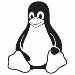 Linux kernel